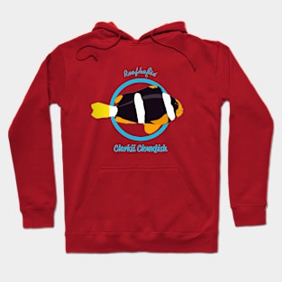 Clarkii Clownfish Hoodie